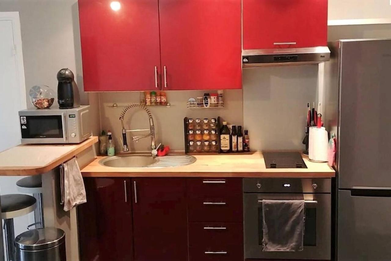 Charmant Studio Proche De Nice A 300M Des Plages Appartement Villeneuve-Loubet Buitenkant foto
